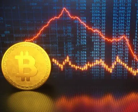 WynetriX - Enhance Your Trading Journey with WynetriX
